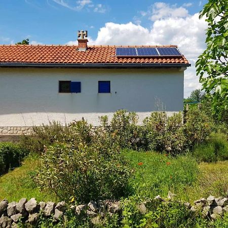 Willa Ecohouse Oliveglia Šilo Zewnętrze zdjęcie