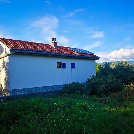 Willa Ecohouse Oliveglia Šilo Zewnętrze zdjęcie