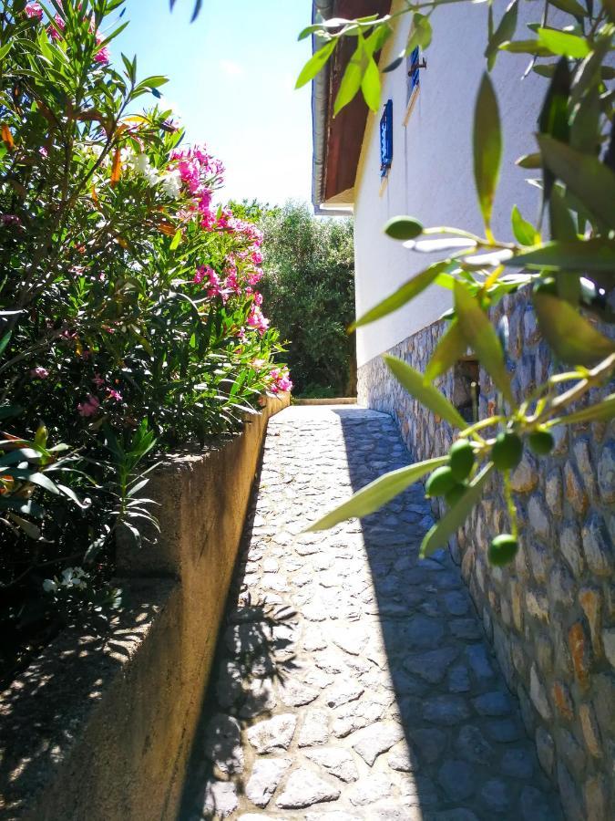 Willa Ecohouse Oliveglia Šilo Zewnętrze zdjęcie