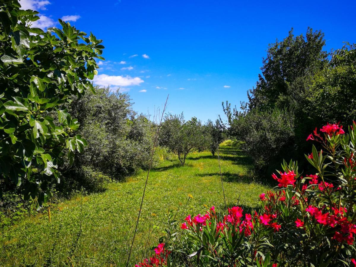 Willa Ecohouse Oliveglia Šilo Zewnętrze zdjęcie