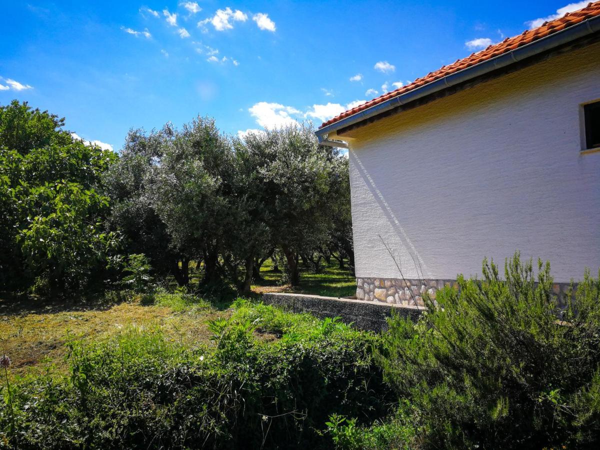 Willa Ecohouse Oliveglia Šilo Zewnętrze zdjęcie